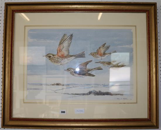 Red wings by Eileen Soper